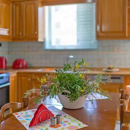 Apartment Stelfi In